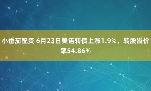 小番茄配资 6月23日美诺转债上涨1.9%，转股溢价率54.86%