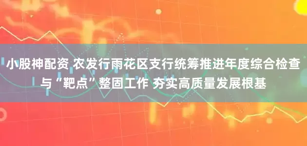 小股神配资 农发行雨花区支行统筹推进年度综合检查与“靶点”整固工作 夯实高质量发展根基