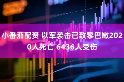 小番茄配资 以军袭击已致黎巴嫩2020人死亡 6436人受伤