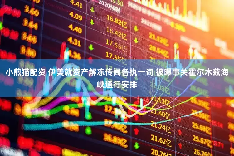 小煎猫配资 伊美就资产解冻传闻各执一词 被曝事关霍尔木兹海峡通行安排